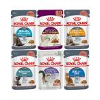 ロイヤルカナン　猫　フードで健康を維持したい猫ちゃんセット　成猫用　８５ｇ　６種各１袋　正規品　お一人様１点限り