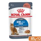 ロイヤルカナン 猫 ライトウェイトケア 減量したい成猫用 85g×12袋 ウェット FHN−WET 9003579308769
