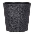 多肉植物　Ｇｙｒｏｐｏｔ　阿智（あち）　４号鉢　ジャイロポット　植木鉢　鉢　観葉植物