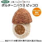 川井　ポルチーニハウス　ピッコロ　小動物