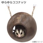 レインボー　ゆらゆらココナッツ　小動物　ハウス