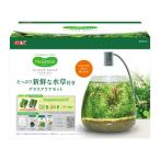 ショッピング水槽 ＧＥＸ　水槽セット　ＭｅＧｒｅｅｎ　新鮮な水草付き　グラスティアーセット　小型水槽