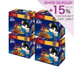 ピュリナ　フィリックスパウチ　ダブルのおいしさ　お肉バラエティ　１２袋入り（５０