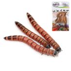 ( сырой приманка ) красный wa-m(50g)+p осел gz вакуум сырой насекомое super wa-m20g Хонсю Сикоку ограничение 