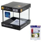  Kotobuki прикладное искусство crystal Cube 150 черный силикон & axe toLED 9 красный свет стекло аквариум 15×15×15cm маленький размер аквариум 