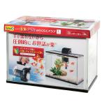  Tetra золотая рыбка *me Dakar. удобно aqua L ширина 39× глубина 21× высота 28.5cm