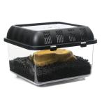 ショッピングプティプラ クランウェルツノガエル飼育入門セット　ソイルｖｅｒ．（用品のみ）　カエル飼育