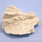  один пункт предмет ... коралл 315781