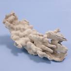  один пункт предмет ... коралл голубой коралл 316257