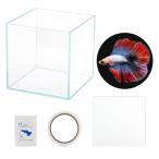 ( тропическая рыба ) бойцовая рыбка разведение комплект стекло аквариум двойной tail . один человек sama 5 пункт ограничение Хонсю Сикоку ограничение 