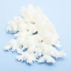  один пункт предмет ... коралл зеленый isi324875