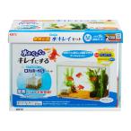 アウトレット品 GEX 金魚元気 ぶくぶく水キレイセット M ロカボーイS付 水槽 訳あり