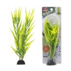 ＧＥＸ　癒し水景　ピュアプランツ　ハイグロフィラ