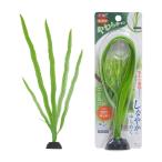 ＧＥＸ　癒し水景　ピュアプランツ　アポノゲトン