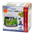 ＧＥＸ　メダカ元気　ＬＥＤ＋フィルター付　やさしい水槽セット　初心者