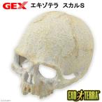 GEX エキゾテラ スカル S