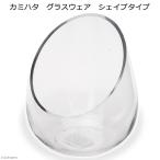 kami - ta стакан одежда Shape модель 