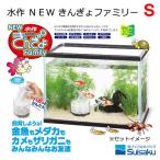 水作　ＮＥＷ　きんぎょファミリー　Ｓ　お一人様２点限り
