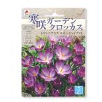 寒咲きガーデンクロッカス球根トマシ...