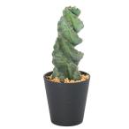 (多肉植物)一点物 サボテン セレウス ペルビアナス スピラリス 4号(1鉢)(353806)