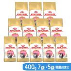 アウトレット品　【増量おまけ】ロイヤルカナン　子猫　ペルシャ・チンチラ・ヒマラヤン　子猫用　４００ｇ×１２袋（７袋＋５袋おまけ）　ジップ無し　訳あり