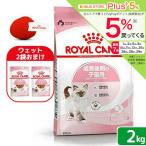  Royal kana n. кошка ki тонн рост поздняя версия. . кошка для после рождения 12 месяцев . до 2kg Zip есть + оригинал игрушка 