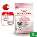  Royal kana n. кошка mother & baby кошка рост предыдущий период. . кошка для 2kg Zip есть + оригинал игрушка 