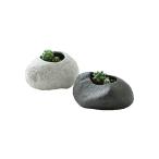 聖新陶芸　プランツロック　カクタス（形状おまかせ）（１個）　サボテン栽培キット