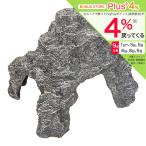 sdo- aqua Cave M аквариум произведение искусства 