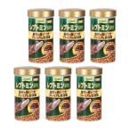 テトラ　レプトミンスーパー　中粒