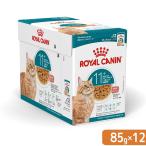  Royal kana n кошка старение 11+ 11 лет и больше. высота . кошка для 85g×12 серый Be FHN-WET стандартный товар . один человек sama 5 пункт ограничение 