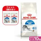 【ウェット2袋おまけ付】ロイヤルカナン 猫 インドア 室内で生活する成猫用 生後12ヵ月齢から7歳まで 10kg ジップ付(キャットフード ドライ)