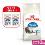 [ мокрый 2 пакет дополнение ] Royal kana n кошка in -дверный длинный (long) волосы - для взрослой кошки 10kg 3182550739429. один человек sama 4 пункт ограничение Zip нет 
