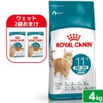 【ウェット２袋おまけ付】ロイヤルカナン　猫　１１歳以上の避妊去勢した高齢猫用　エイジングステアライズド　１１＋　４ｋｇ　ジップ付