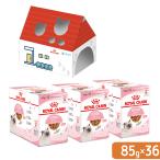  Royal kana n. кошка ki щипцы re- Be рост поздняя версия. . кошка для 85g×36 пакет . один человек sama 1 пункт ограничение ( оригинал перевозка коробка )