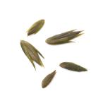 ( биотоп ). зима . maru baomo Dakar (5 шарик )