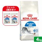 [ мокрый 2 пакет дополнение ] Royal kana n кошка Индия a салон . жизнь делать для взрослой кошки после рождения 12 месяцев . из 7 лет до 4kg Zip есть 