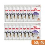 送料無料　ロイヤルカナン　猫　ＦＨＮ−ＷＥＴ　ステアライズド　成猫用　５０ｇ×１６　正規品　お一人様１点限り