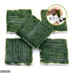 ( водоросли ) наматывать длина Willow Moss плитка ( подводный лист )( нет пестициды )(3 шт )