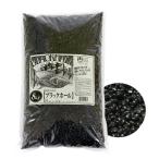 シンセー　観賞魚用底砂　ブラックホール　８ｋｇ　お一人様２点限り