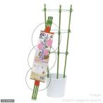 支柱 リング支柱 45cm(4〜5号鉢用)
