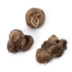 ( террариум )amorufofarusa Toro bilitis луковица (1 шт ) Hokkaido * Kyushu авиапочта необходимо теплоизоляция 