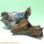 ＧＥＸ　形状お任せ　水槽用アクセサリー　天然流木　ＳＳサイズ（約１５〜２０ｃｍ）　１本
