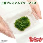 （水草）極　プレミアムグリーンモス（水中葉）（無農薬）（１カップ）