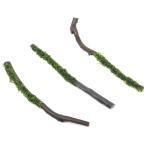 ( водоросли ) наматывать длина Willow Moss sp. narrow палочка коряга L размер ( примерно 25cm)( подводный лист )( нет пестициды )( 1 шт. )