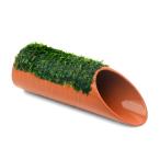 ( водоросли ) наматывать длина Willow Moss неглазурованный фарфор . ракушка ta- маленький длина модель ( подводный лист )( нет пестициды )(1 шт )