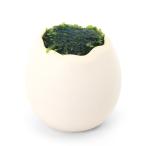 ( водоросли )eg посадочная машина ja Ian to Южная Америка Willow Moss ( подводный лист )( нет пестициды )(1 шт )