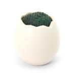 ( водоросли )eg посадочная машина Южная Америка Willow Moss ( подводный лист )( нет пестициды )(1 шт )