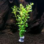 ( водоросли ) половина подводный лист ro треска ro тонн tifo задний Spy ключ свинец наматывать ( половина подводный лист )( нет пестициды )(1 шт )