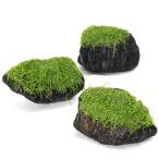 巻きたてリシア溶岩石ＳＳサイズ